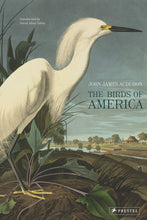 Load image into Gallery viewer, The Birds of America