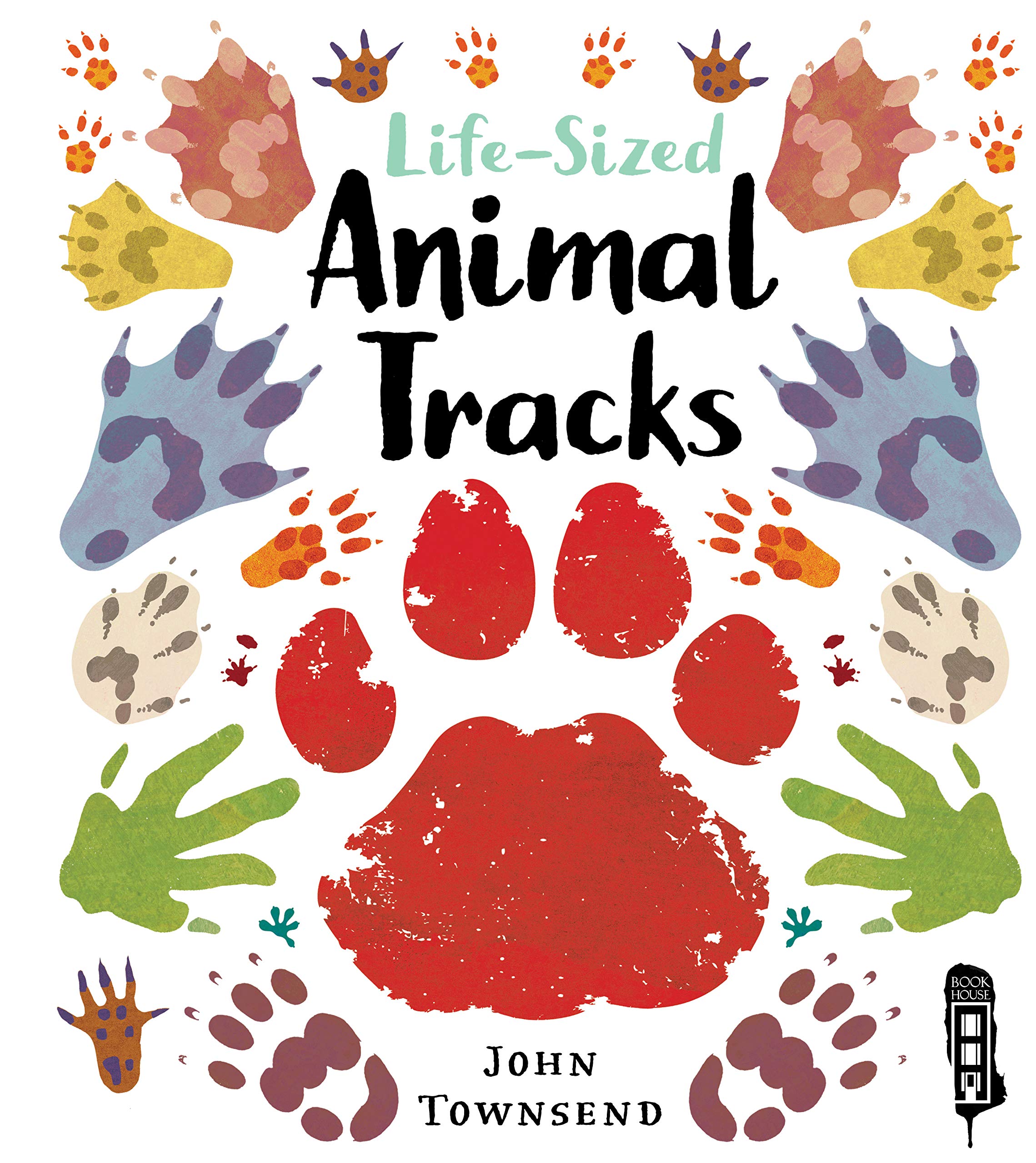 Life-Sized Animal Tracks – AESOP'S FABLE