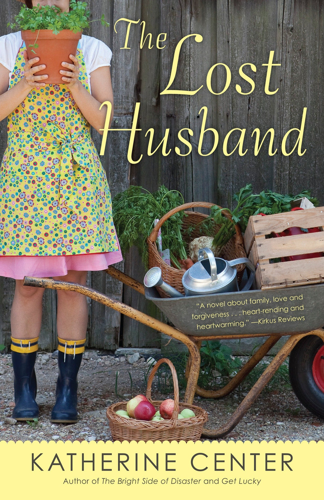 The Lost Husband: A Novel