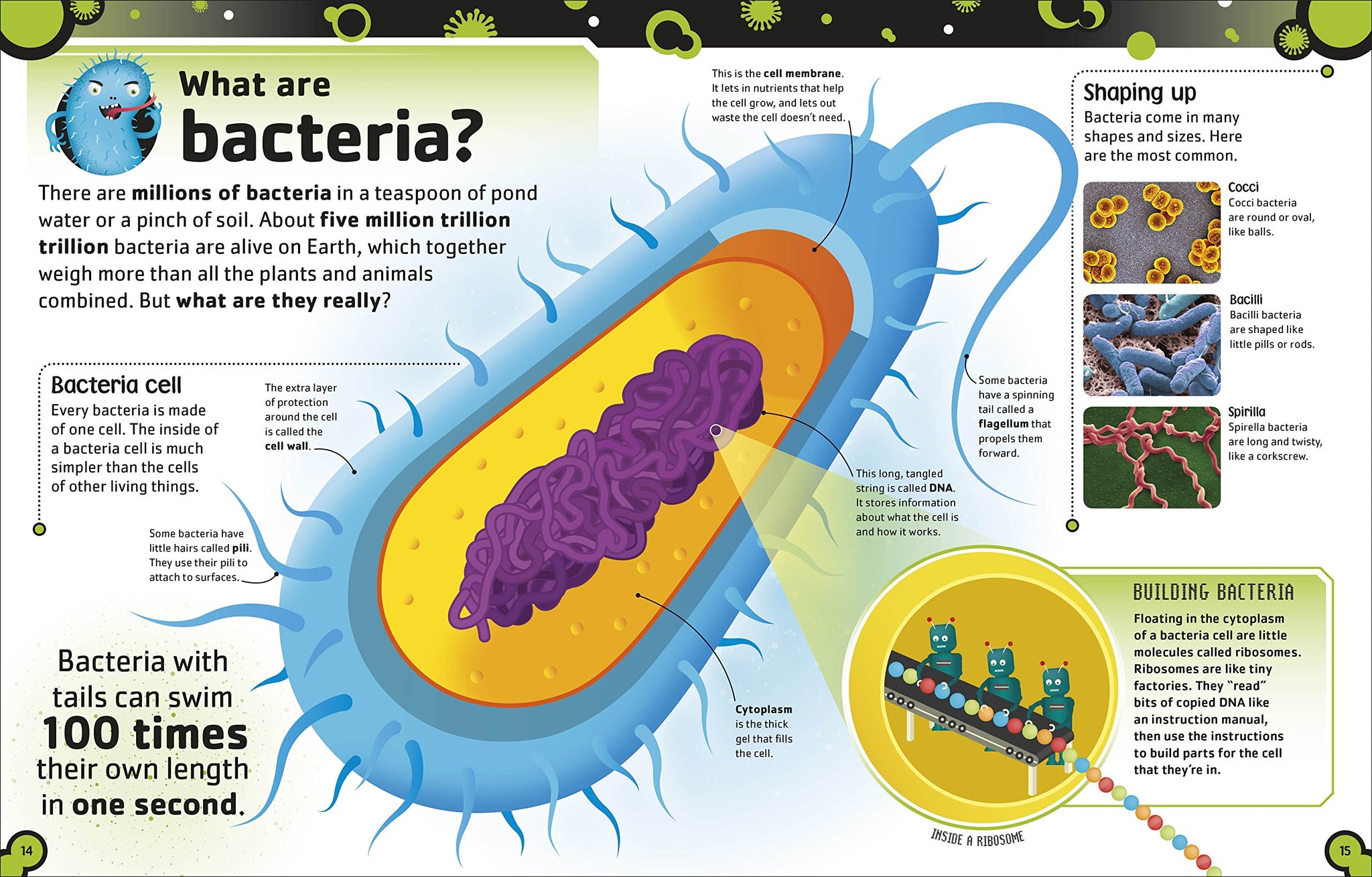 The Bacteria Book: The Big World of Really Tiny Microbes – AESOP'S