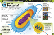Load image into Gallery viewer, The Bacteria Book: The Big World of Really Tiny Microbes