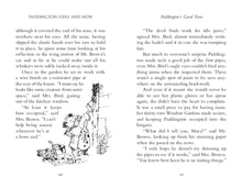 Load image into Gallery viewer, Paddington Here and Now