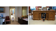 Load image into Gallery viewer, The West Wing and Beyond