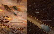 Load image into Gallery viewer, Wombat Underground: A Wildfire Survival Story