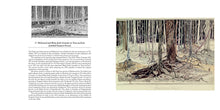 Load image into Gallery viewer, Pictures by J.R.R. Tolkien