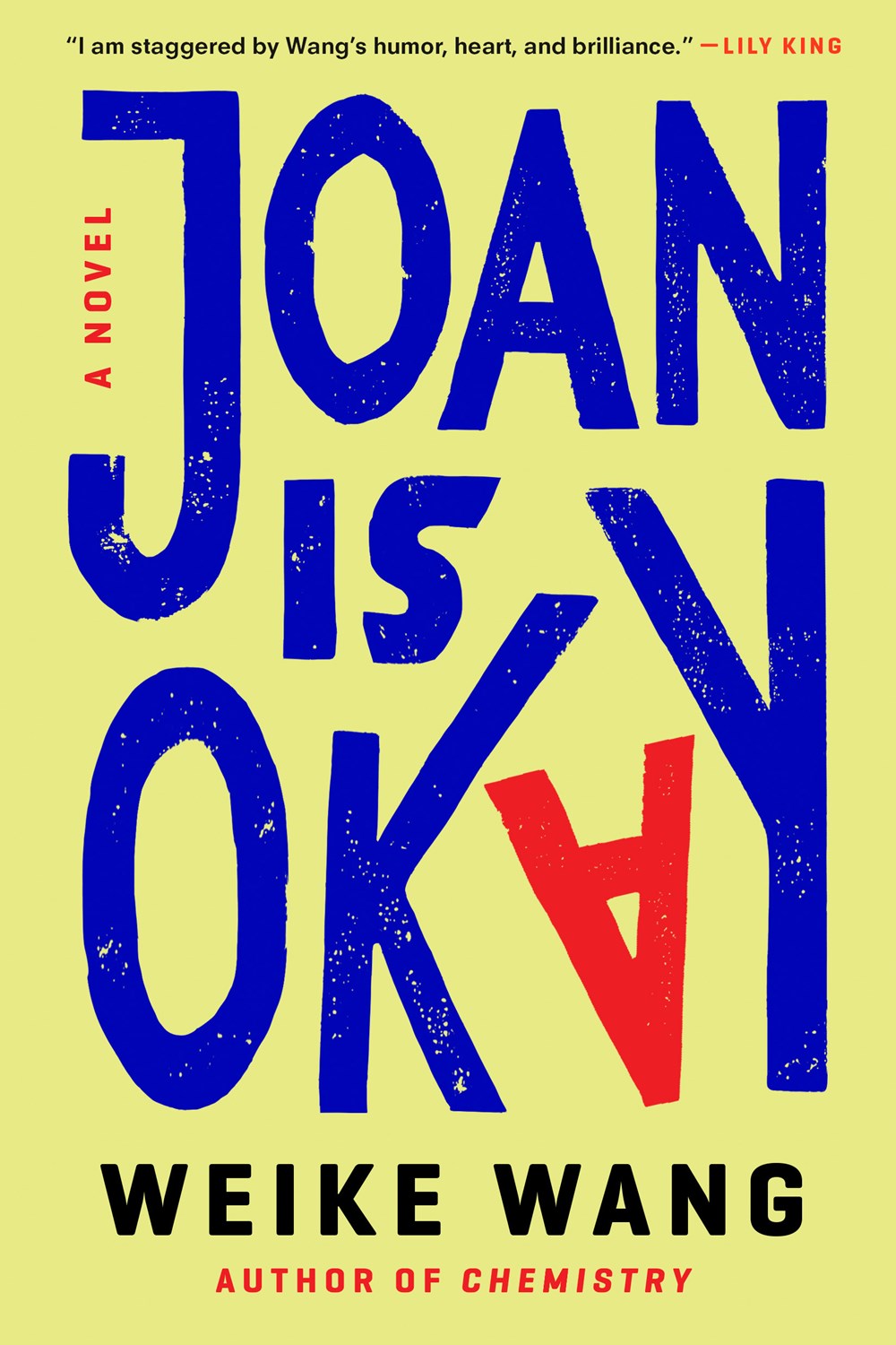 Joan is Okay: A Novel