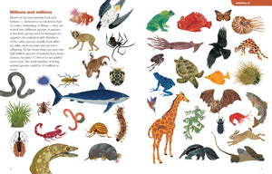 The Animal Book