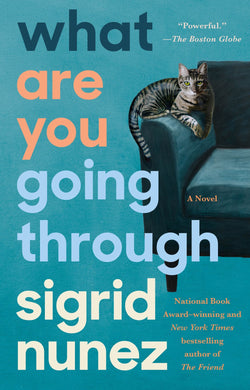 What Are You Going Through: A Novel