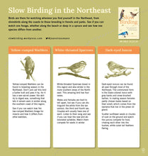Load image into Gallery viewer, Slow Birding: The Art and Science of Enjoying the Birds in Your Own Backyard