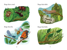 Load image into Gallery viewer, Bug Catchers