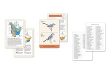 Load image into Gallery viewer, Sibley Backyard Birding Flashcards