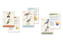 Load image into Gallery viewer, Sibley Backyard Birding Flashcards