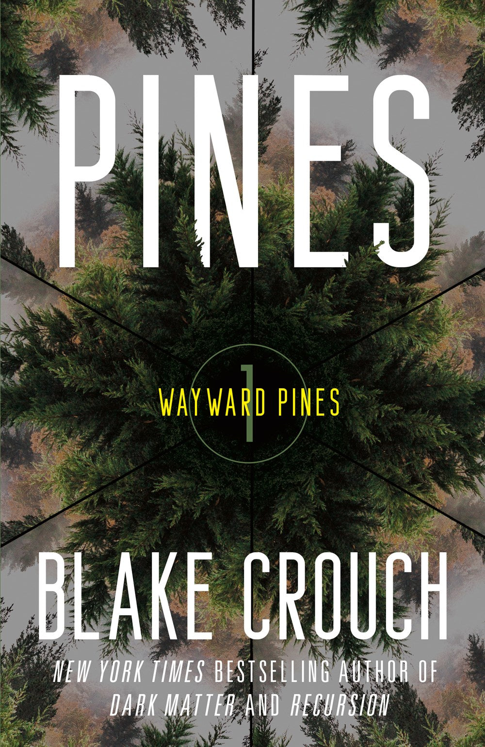 Pines: Wayward Pines 1