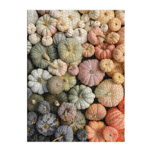 Load image into Gallery viewer, Heirloom Pumpkins Puzzle (1000 pieces)