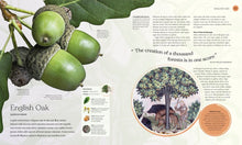 Load image into Gallery viewer, The Tree Book: The Inside Story of Our Greatest Species