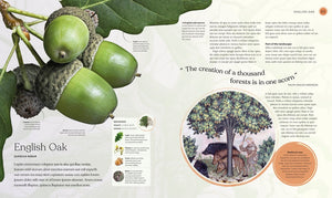 The Tree Book: The Inside Story of Our Greatest Species