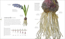 Load image into Gallery viewer, The Science of Plants