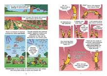 Load image into Gallery viewer, Science Comics: The Digestive System