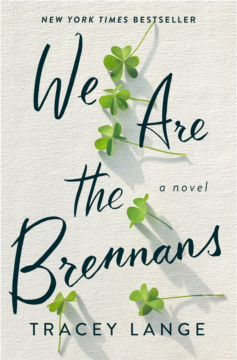 We Are the Brennans: A Novel