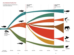Dinosaurs by the Numbers