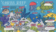 Load image into Gallery viewer, Everything Awesome About Sharks and Other Underwater Creatures!