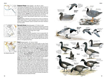 Load image into Gallery viewer, National Geographic Field Guide to the Birds of North America