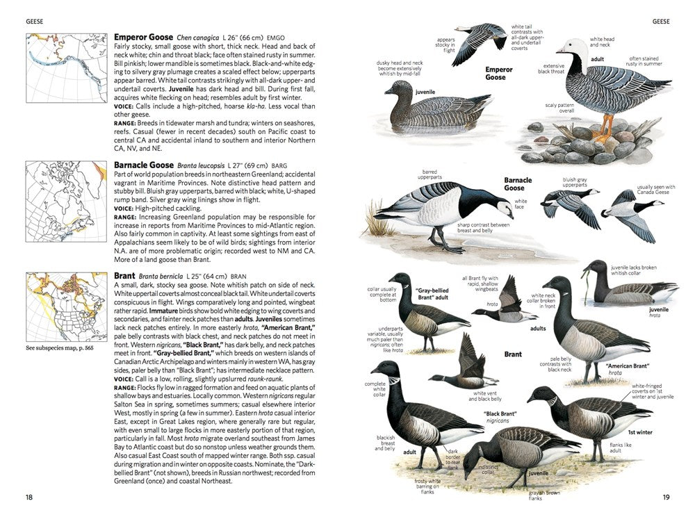 National Geographic Field Guide to the Birds of North America – AESOP'S ...