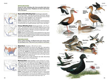 Load image into Gallery viewer, National Geographic Field Guide to the Birds of North America