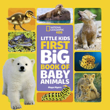 Load image into Gallery viewer, Little Kids First Big Book of Baby Animals