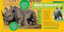 Load image into Gallery viewer, Little Kids First Big Book of Baby Animals