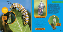 Load image into Gallery viewer, Little Kids First Big Book of Baby Animals