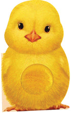 Load image into Gallery viewer, Furry Chick