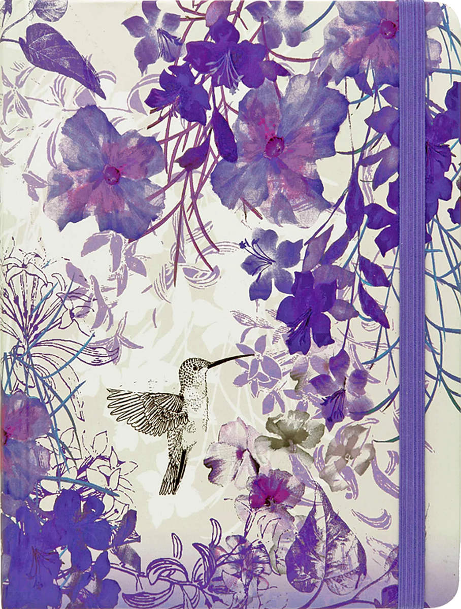Hummingbird Fable Hummingbird Journal – AESOP'S FABLE