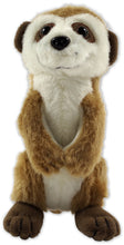 Load image into Gallery viewer, Hug a Meerkat Kit (Book + Plush)