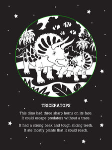 Dinos After Dark: A Bedtime Shadow Book