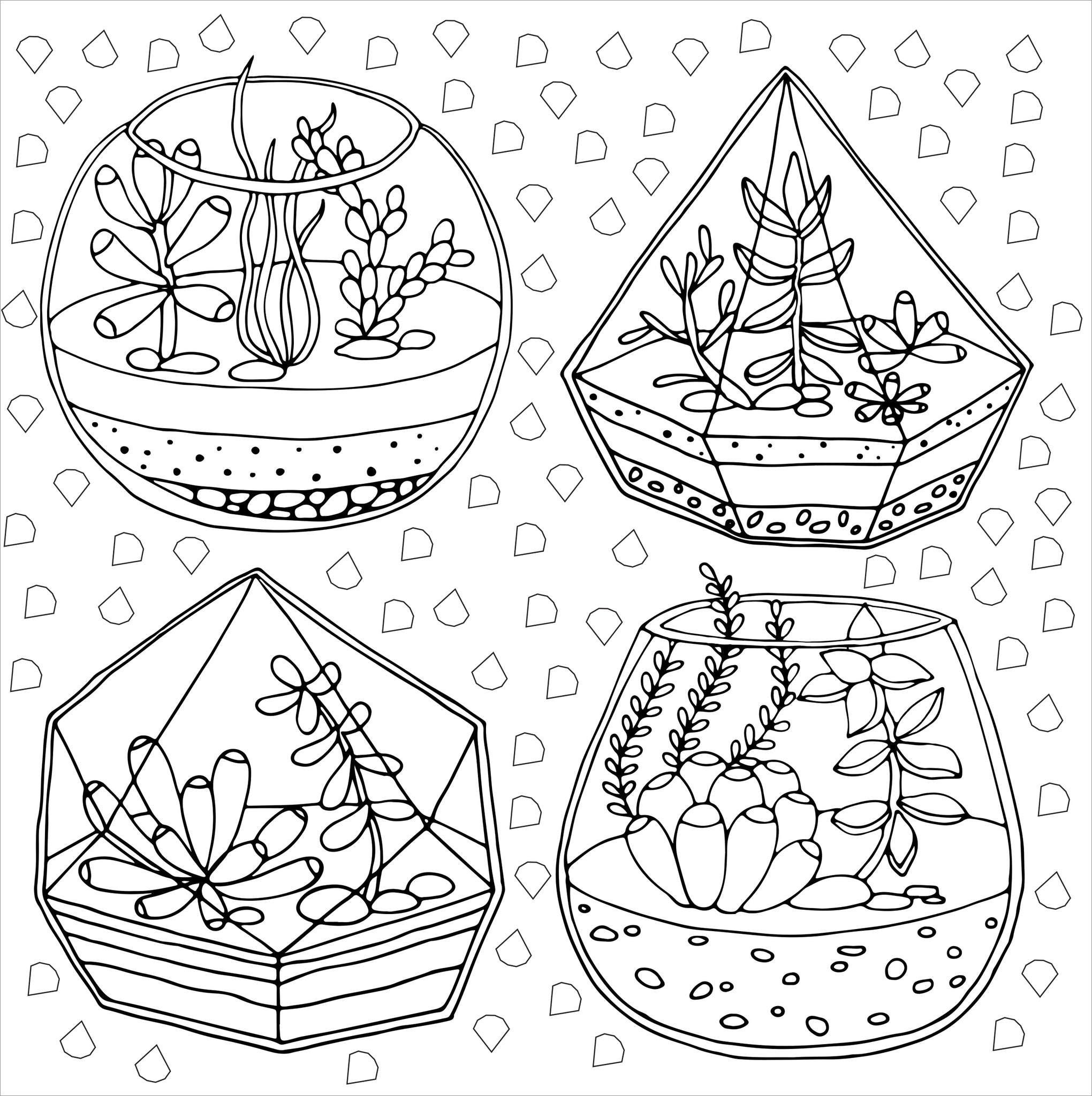 succulent coloring Succulents (Artist's Coloring Book) – AESOP'S FABLE