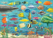 Load image into Gallery viewer, All the Fish Jigsaw Puzzle (1000 pieces)
