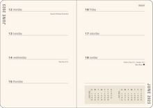 Load image into Gallery viewer, 2023 Butterflies Weekly Planner (16 months, Sept 2022 to Dec 2023)
