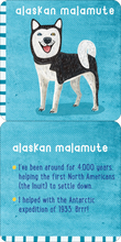 Load image into Gallery viewer, All the Dogs Lunch Box Notes for Kids (50 pack)