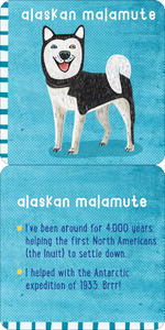 All the Dogs Lunch Box Notes for Kids (50 pack)