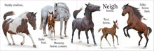 Load image into Gallery viewer, Moo