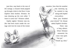 The Adventures of Sophie Mouse: A New Friend