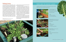 Load image into Gallery viewer, The Vegetable Gardener&#39;s Container Bible