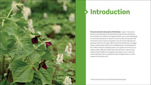 Load image into Gallery viewer, The Northeast Native Plant Primer