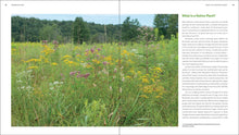Load image into Gallery viewer, The Northeast Native Plant Primer