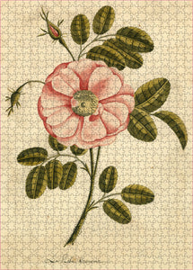 Garden Rose Puzzle (1000 pieces)