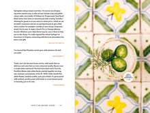 Load image into Gallery viewer, Barantined: Recipes, Tips, and Stories To Enjoy At Home
