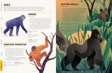 Load image into Gallery viewer, Encyclopedia of Animals