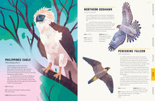 Load image into Gallery viewer, Encyclopedia of Animals