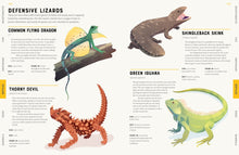 Load image into Gallery viewer, Encyclopedia of Animals
